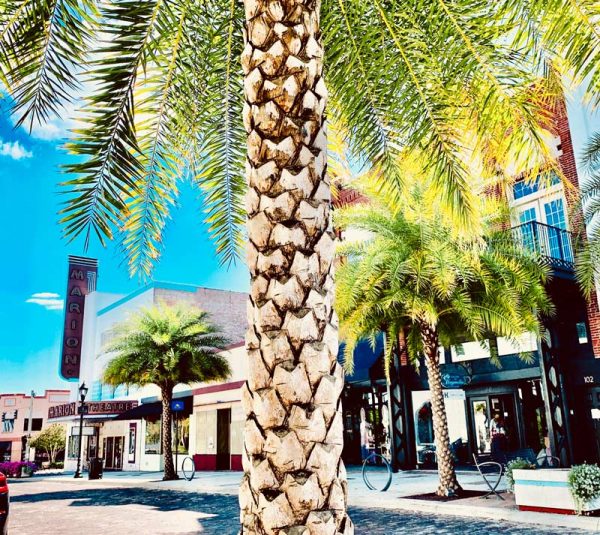 Ocala's Historic District in Ocala, Florida Homes for Sale Crystal Snook Group